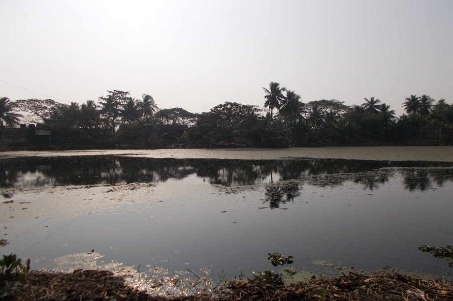 Build a Community Toilet in an Indian Village