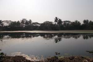 POND VIEW
