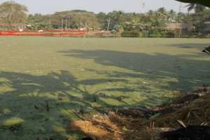 COMMUNITY TOILET & BATHING GHAT SITE