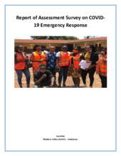 Report of Field Assessment - COVID-19 (PDF)