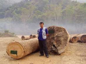 Logging