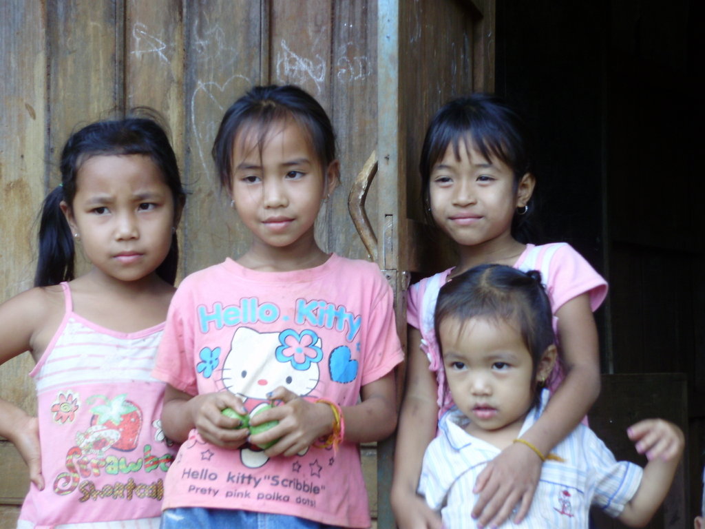 Micro-credit for disadvantaged farmers in Laos