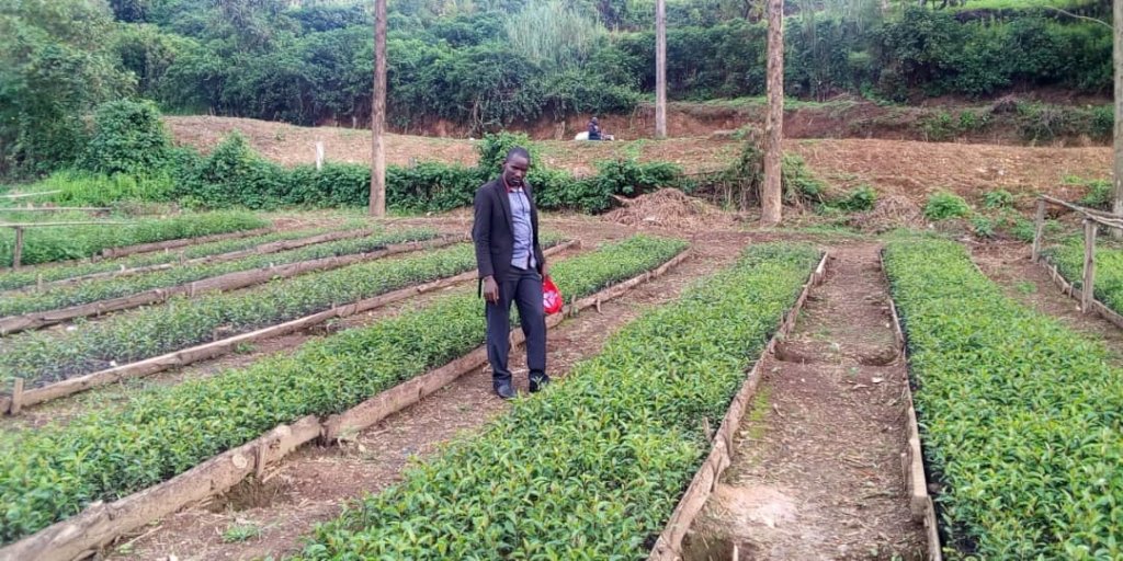 Sustaining the future of Agriculture in Kanungu