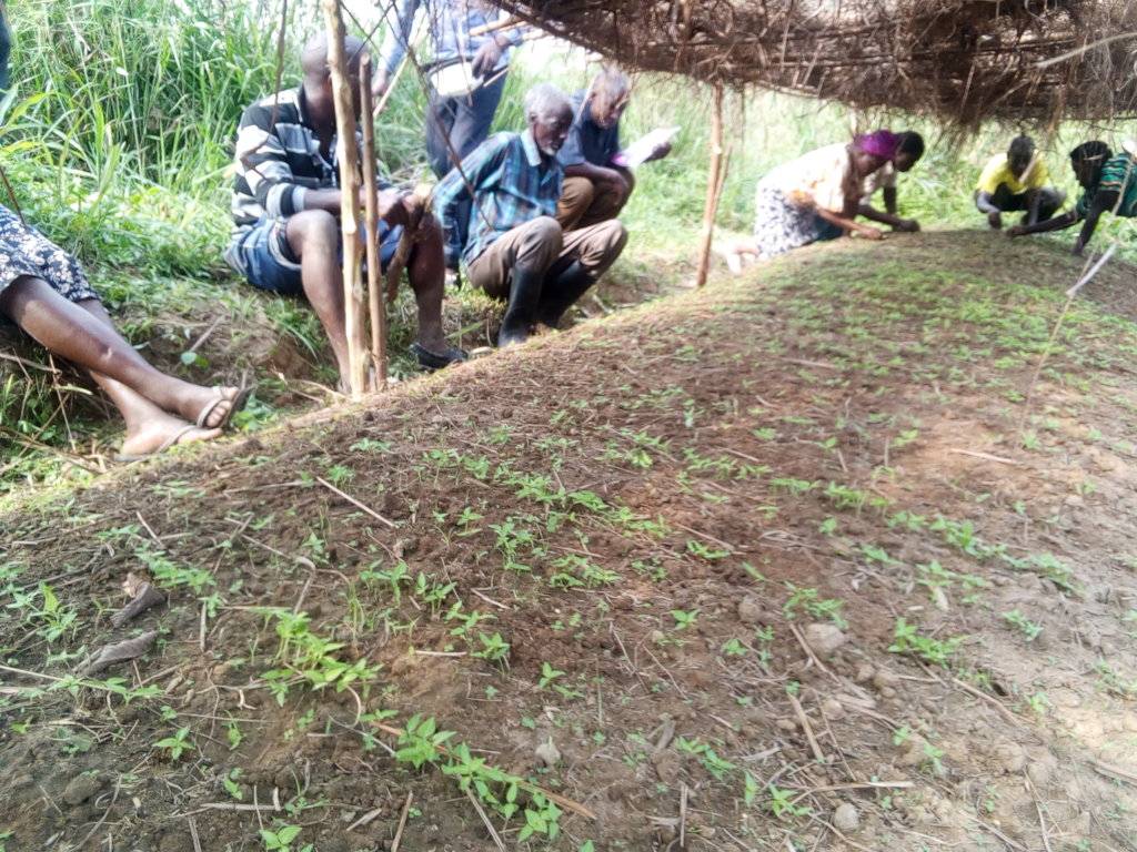 Sustaining the future of Agriculture in Kanungu
