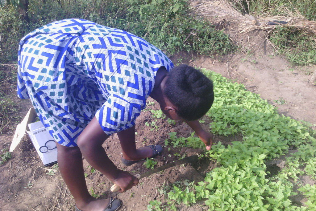 Sustaining the future of Agriculture in Kanungu