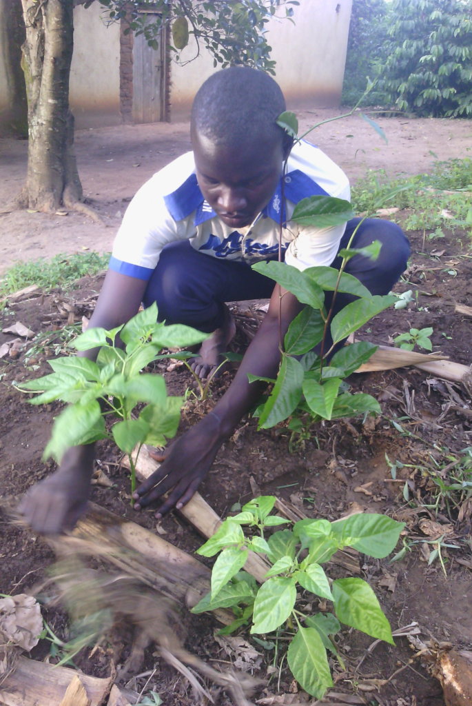 Sustaining the future of Agriculture in Kanungu