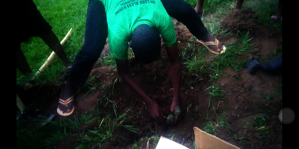 Sustaining the future of Agriculture in Kanungu