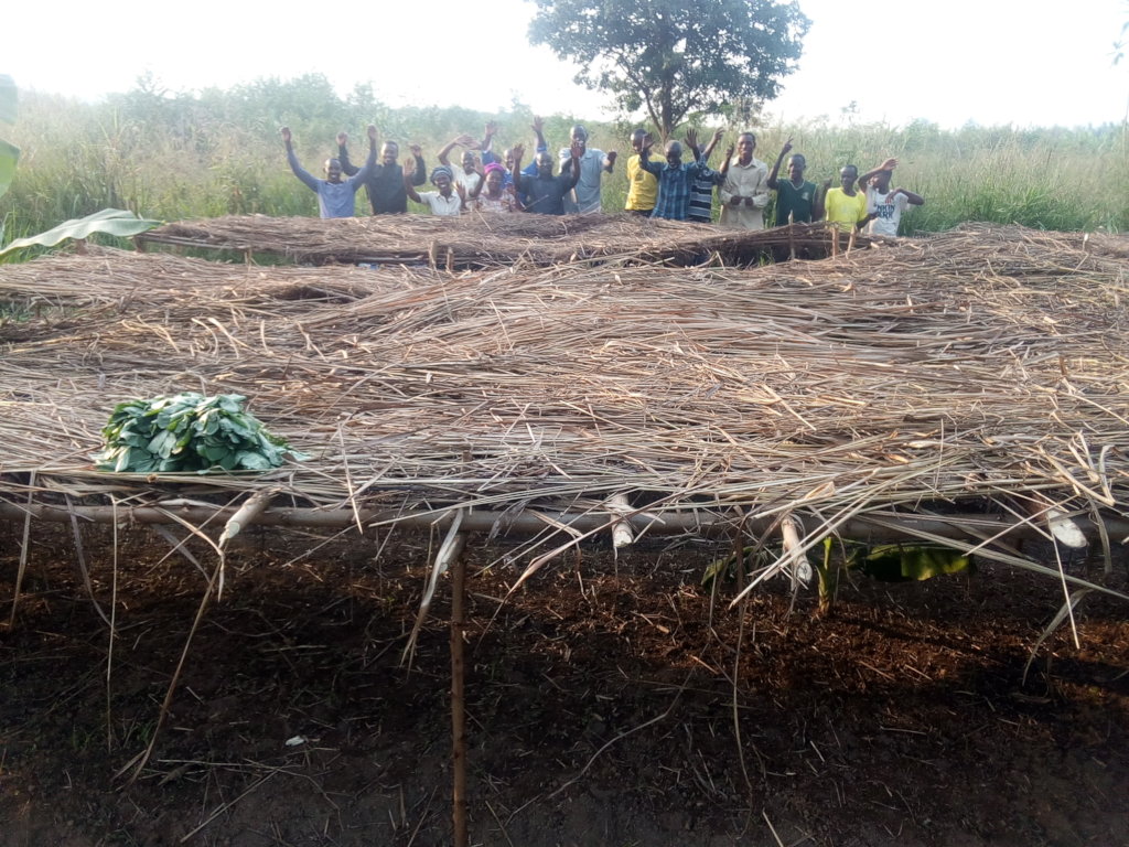 Sustaining the future of Agriculture in Kanungu