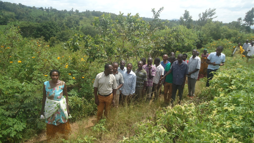 Sustaining the future of Agriculture in Kanungu