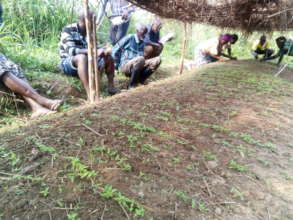 Some Nkunda TAG Members at their Habanero Nursery