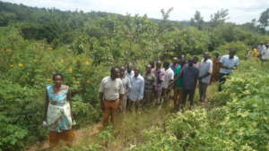TUA organises a one day walk for nature