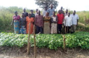 Sustaining the future of Agriculture in Kanungu