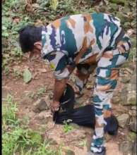 Snake release at Thattekkad Forest