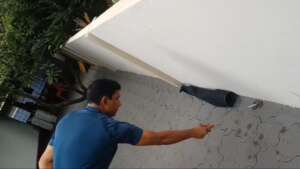 Rescuing a wolf snake from a house premise