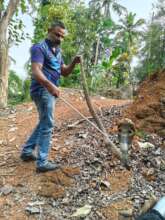 Rescuing spectacled cobra