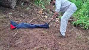 Rescuing Indian rock python from Kottayamdistrict