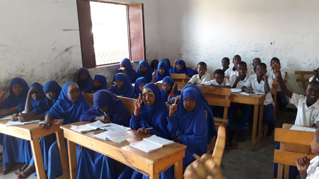 Send 3000 Children in Somalia to School for a year