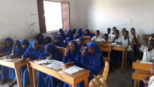 Grade 4 students