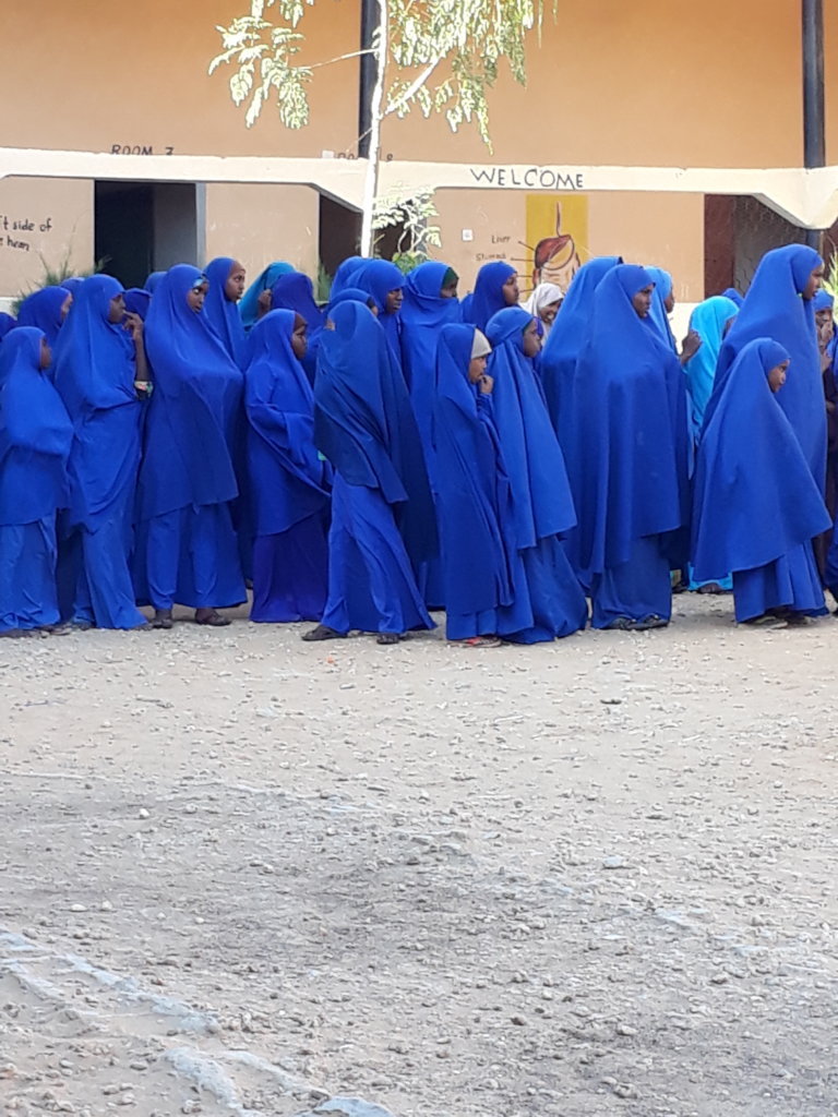 Send 3000 Children in Somalia to School for a year