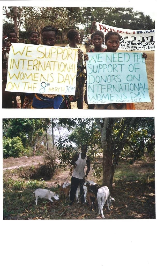 Rehabilitation of Livestock