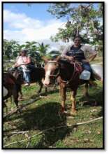 Traveling last part of the journey by horseback