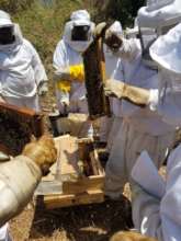 Sweet Progress beekeeping class at the ANF