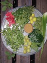 Ingredients for the hair oil to be prepared