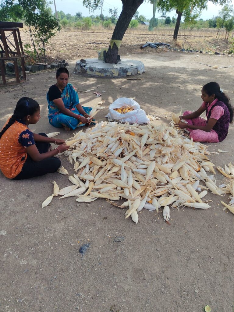 Women groups in corn value added products