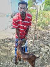 A PWD person purchased corn flour for cattle