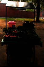 solar food carts offer a better option