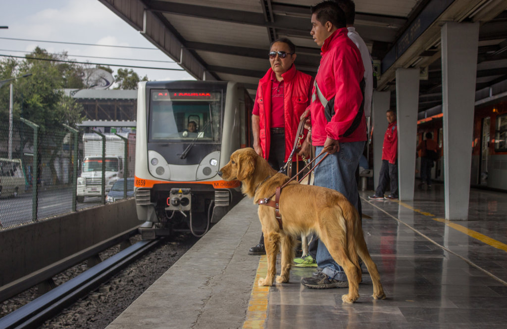 Centro de reproduccion para futuros Perros Guia