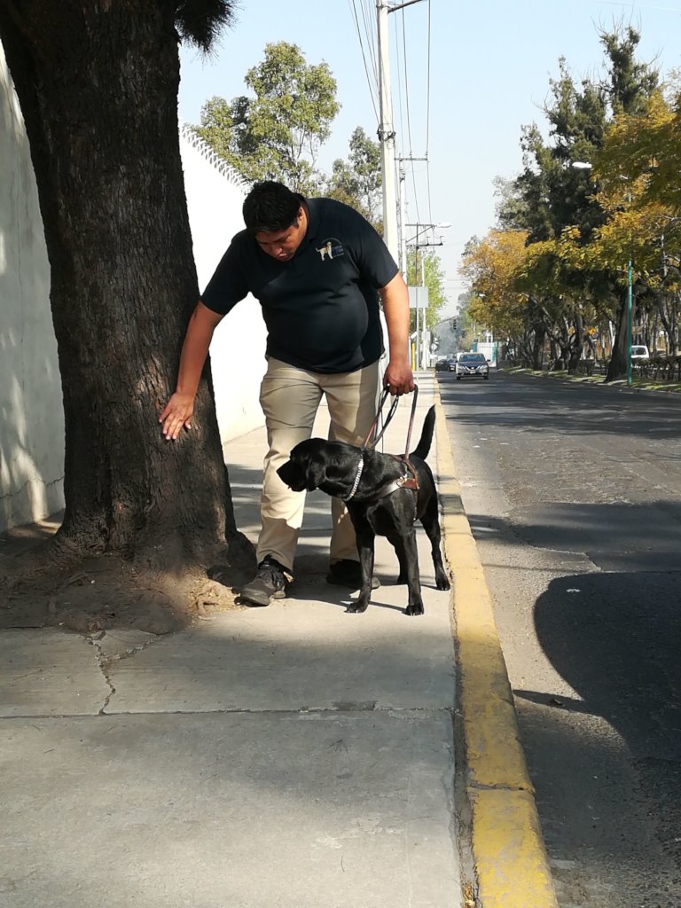 Centro de reproduccion para futuros Perros Guia