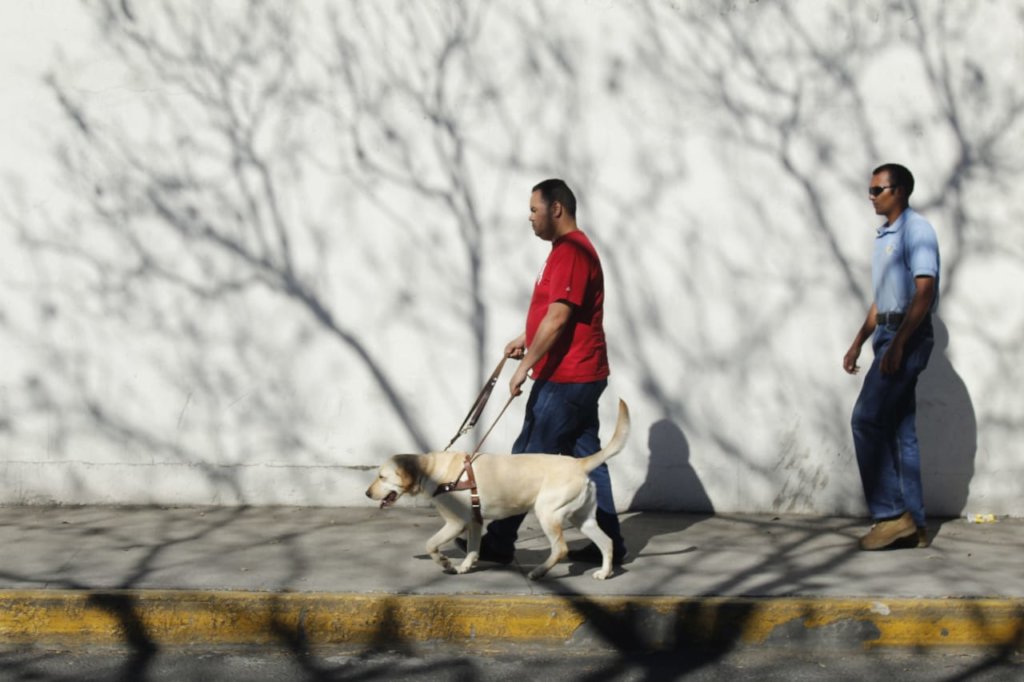 Centro de reproduccion para futuros Perros Guia