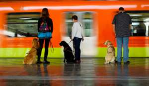 Waiting for the train