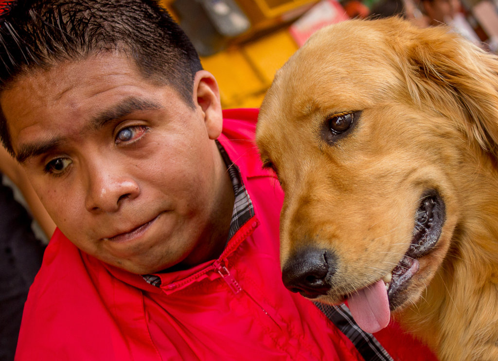 Centro de reproduccion para futuros Perros Guia