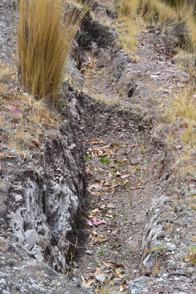 Providing Safe and Clean Water in Peru