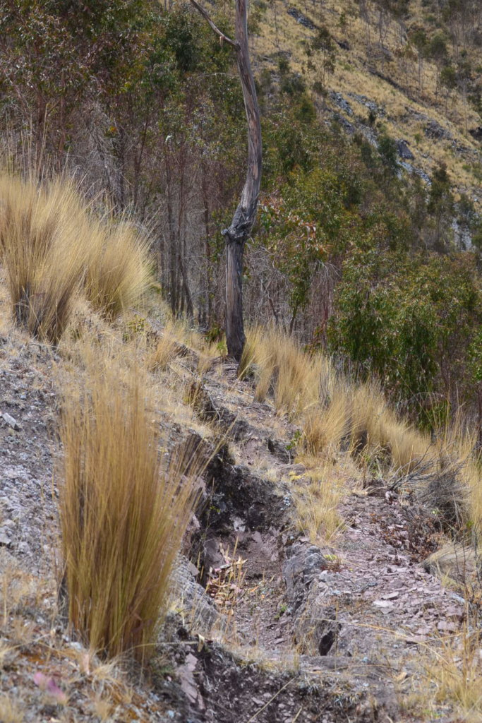 Providing Safe and Clean Water in Peru