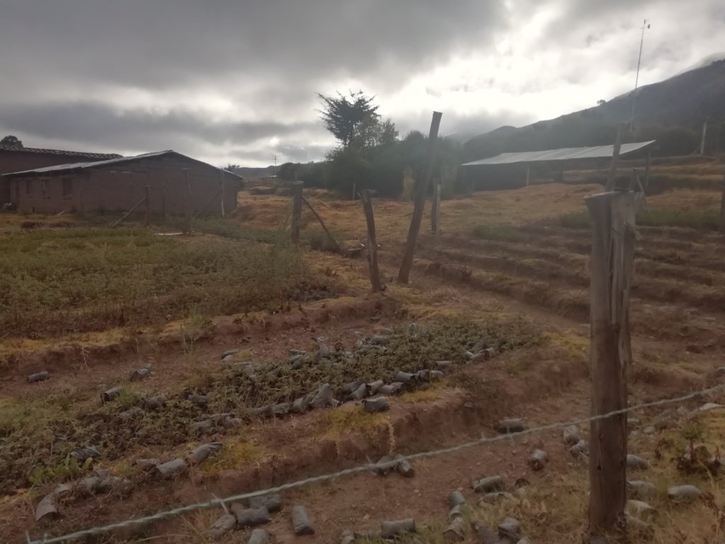 Providing Safe and Clean Water in Peru