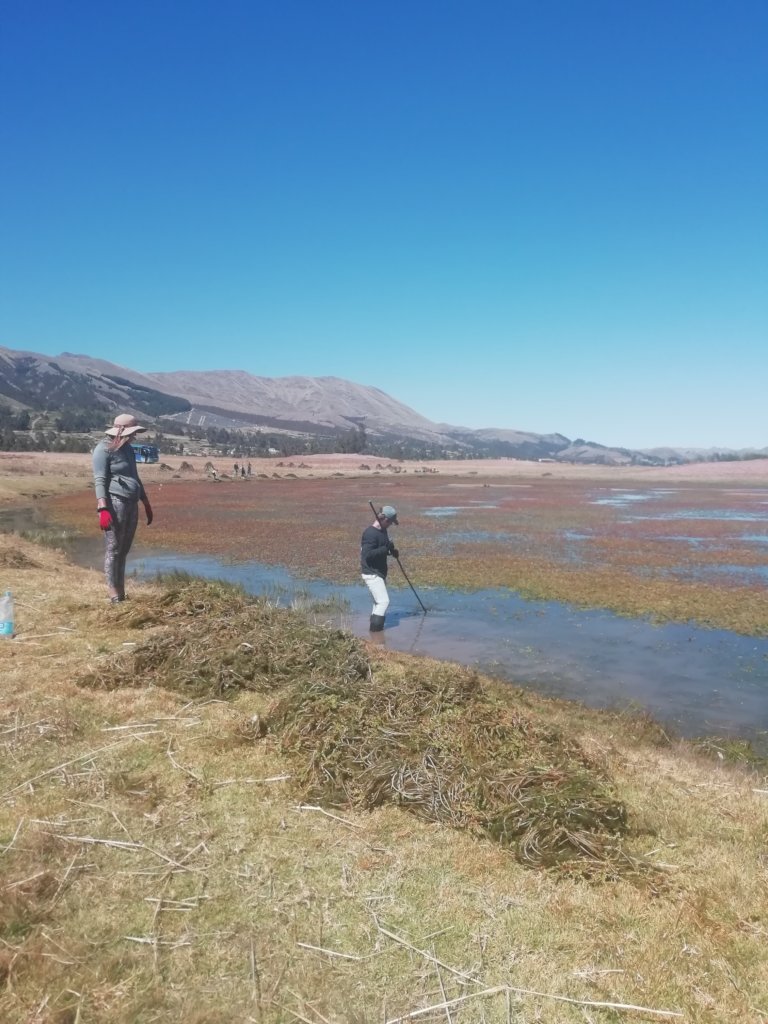Providing Safe and Clean Water in Peru