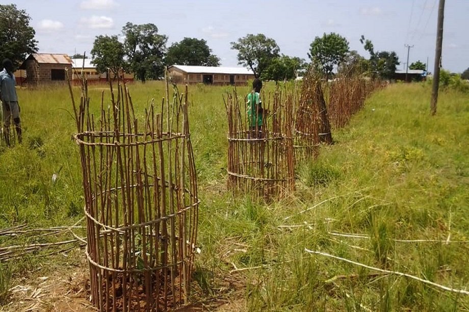 Fss Project Fruits and Shade for Schools (FSS) Project - GlobalGiving