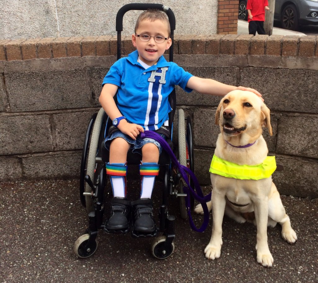 Stability Assistance dog program GlobalGiving
