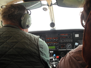 Tracking wildlife requires aerial surveys