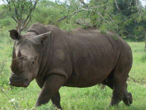 Mitigating against human-animal conflicts