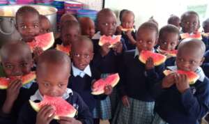 Watermelon Fun