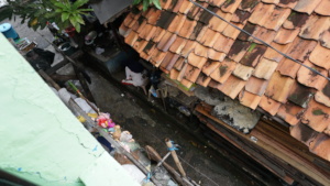 A glimpse of Koja's surrounding