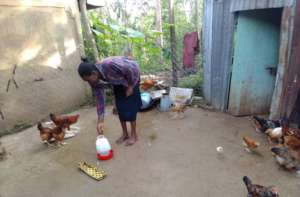 A woman empowered with poultry rearing business