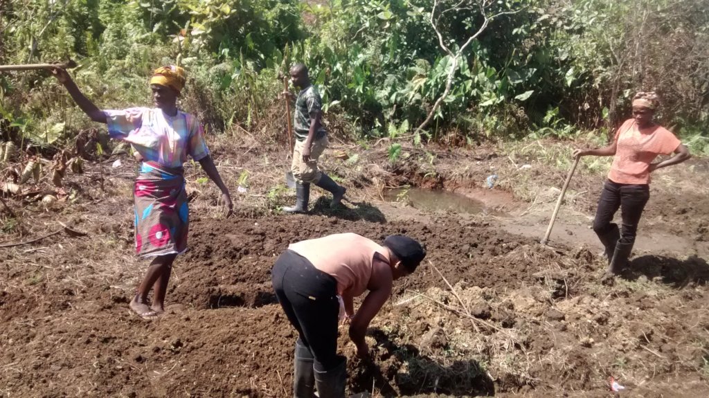Rural Agriculture for HIV Affected Women-Liberia