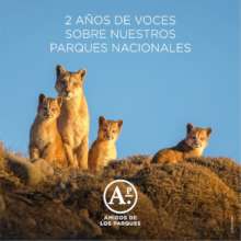 Libro digital