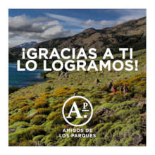 Gracias por apoyarnos