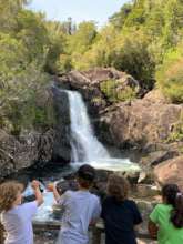 Descubriendo el Parque Nacional Alerce Andino